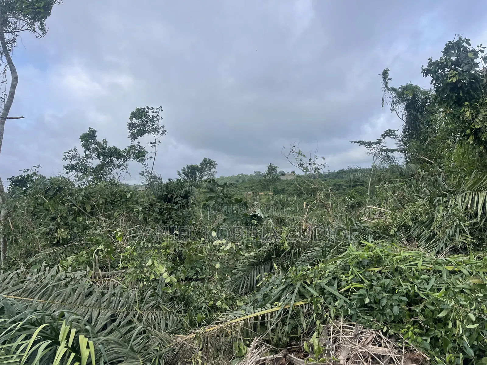 Lands for Sale