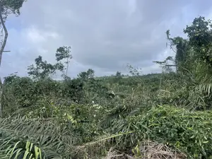 Lands for Sale