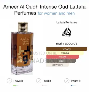 Ameer Al Oudh