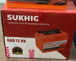 Promo! 12v 24v to 48v 60ah Lithium Phosphate Solar Lifepo4