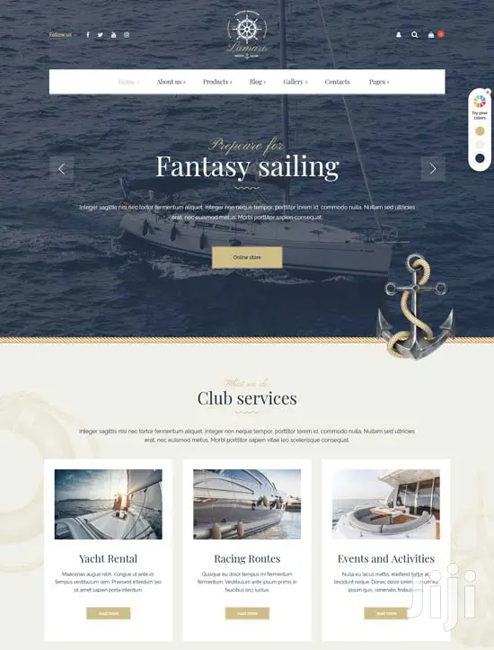 Website Design in 3days