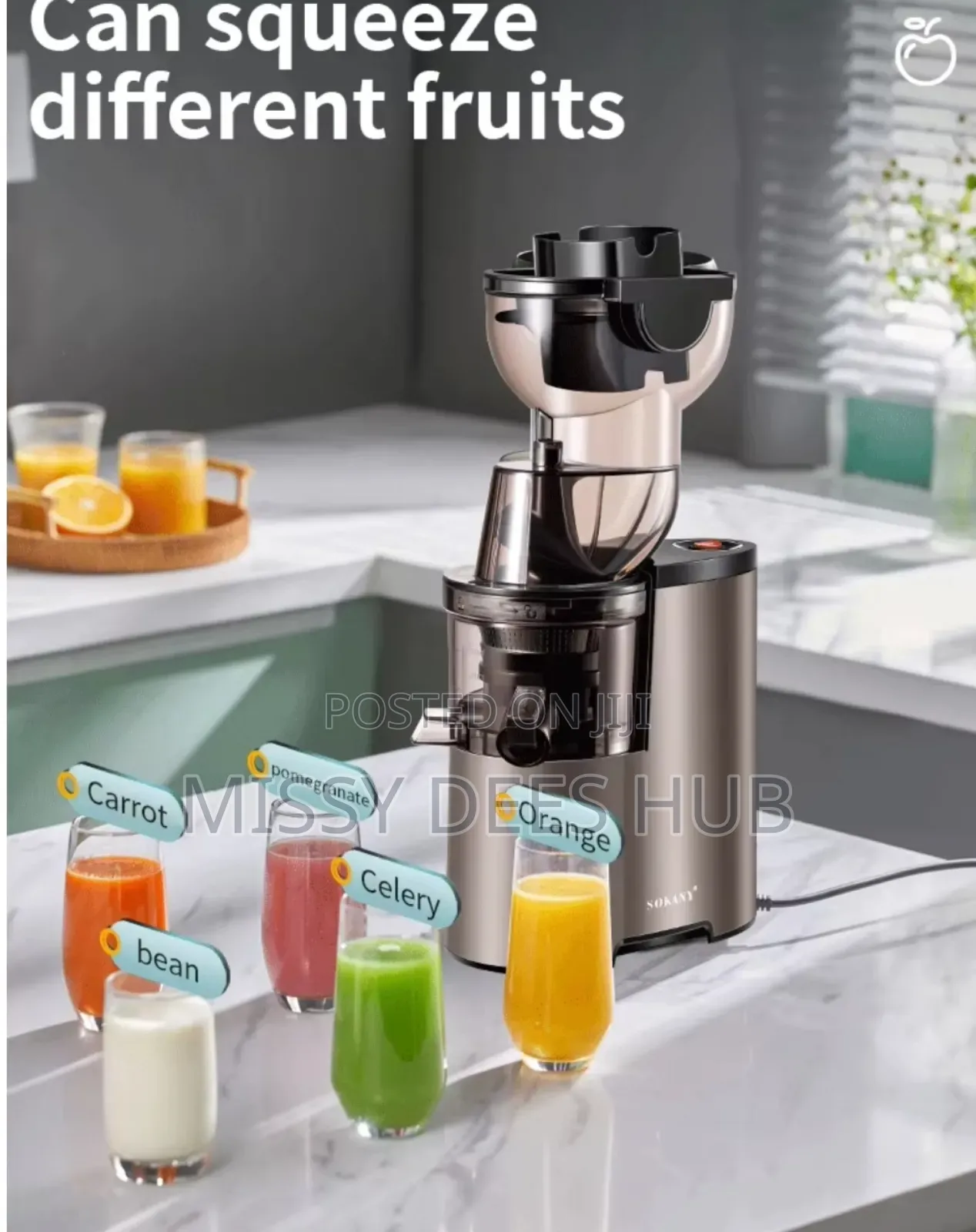 Sokany Slow Juicer