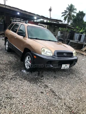 Hyundai Santa Fe 2006 Brown