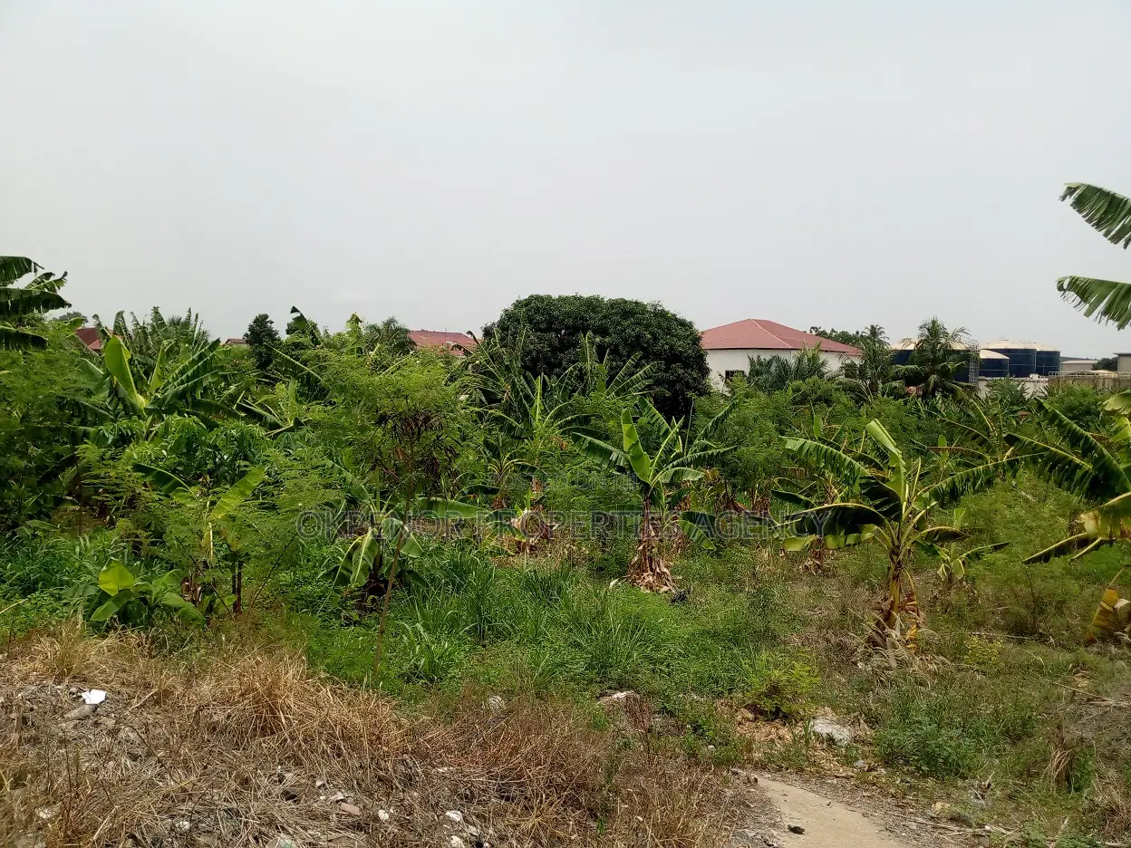 46plot for Sale at Adenta Amrahia
