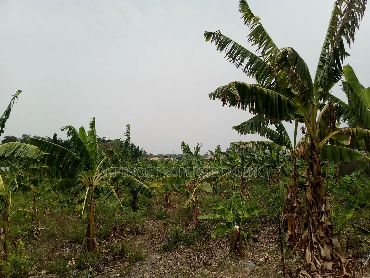 46plot for Sale at Adenta Amrahia