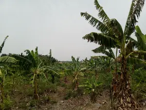 46plot for Sale at Adenta Amrahia