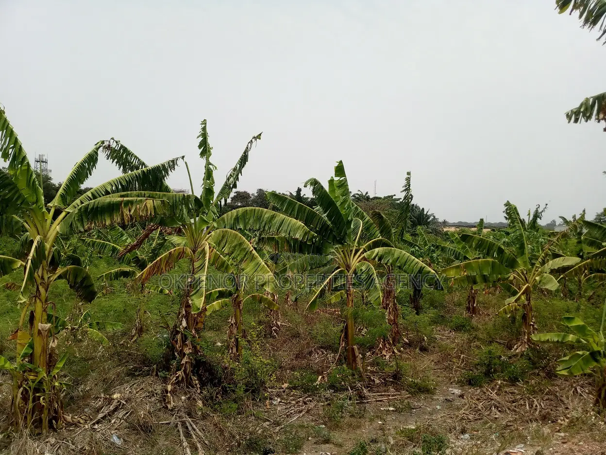 46plot for Sale at Adenta Amrahia