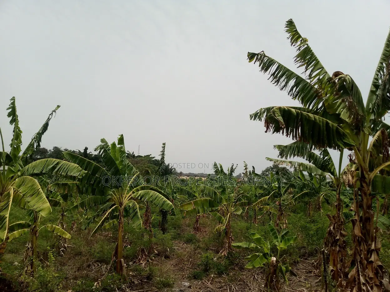 46plot for Sale at Adenta Amrahia