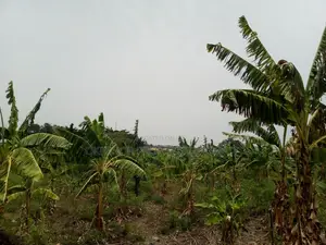 46plot for Sale at Adenta Amrahia