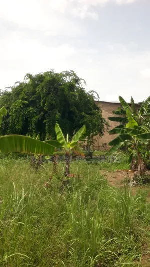 Two Plots of Land for Sale at Manhean