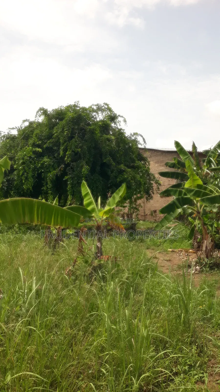 Two Plots of Land for Sale at Manhean