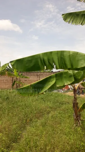 Two Plots of Land for Sale at Manhean