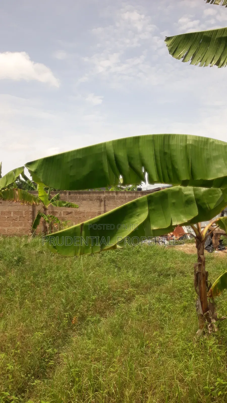 Two Plots of Land for Sale at Manhean