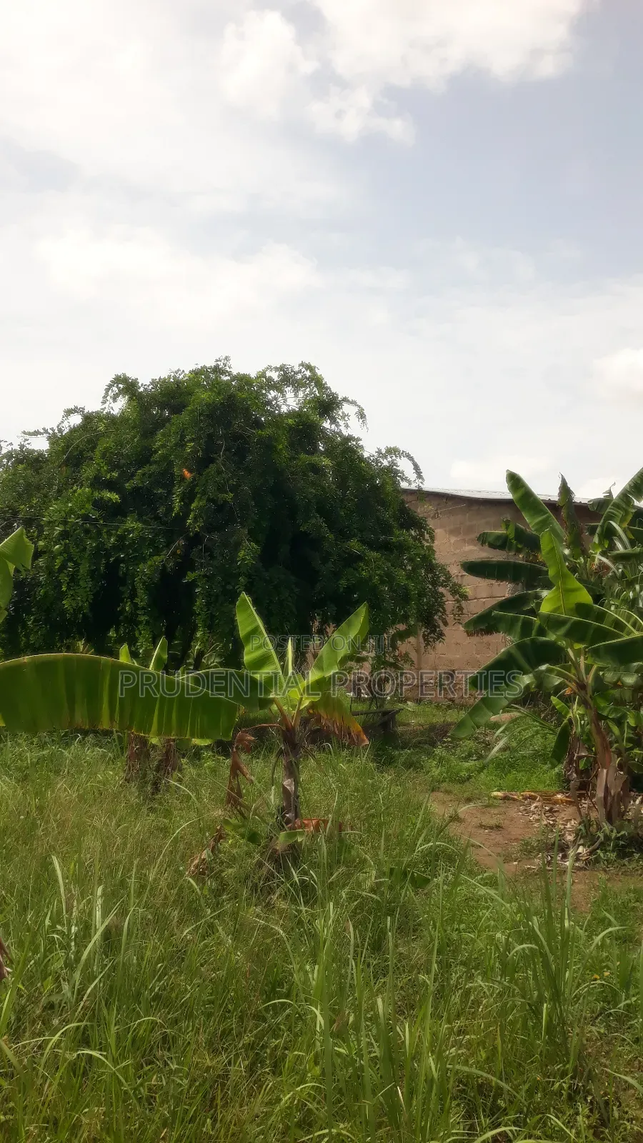 Two Plots of Land for Sale at Manhean