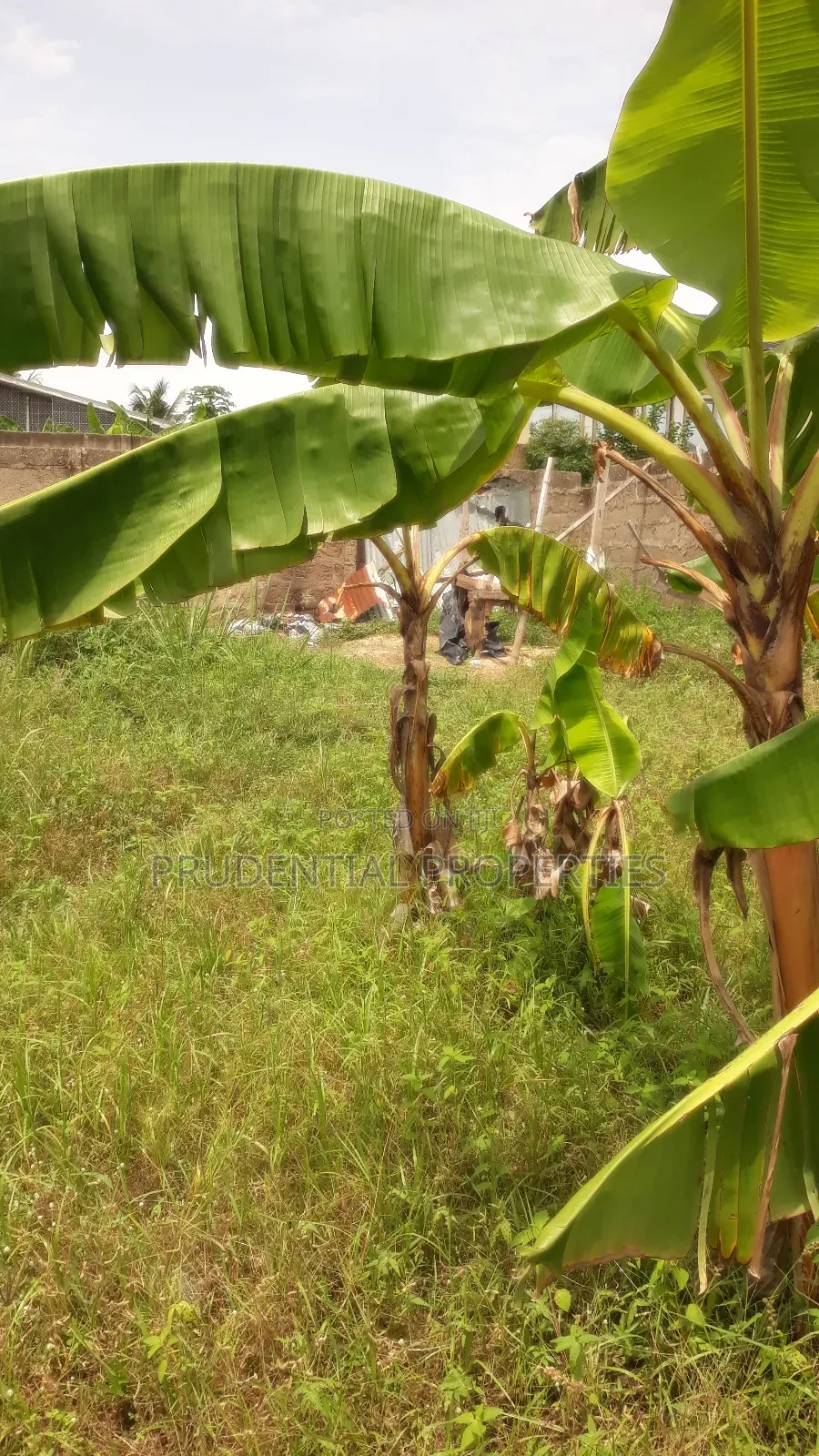 Two Plots of Land for Sale at Manhean