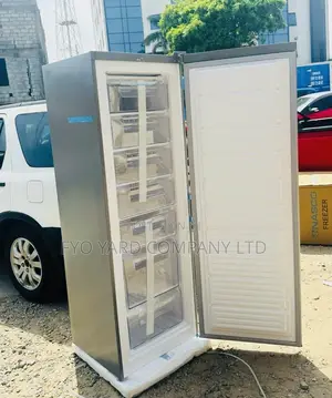 *Ultra-Efficient Nasco 260 Liters Standing Freezer *