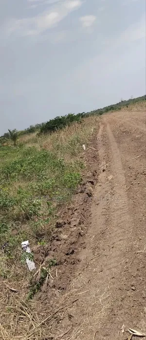 Zero Polution Land