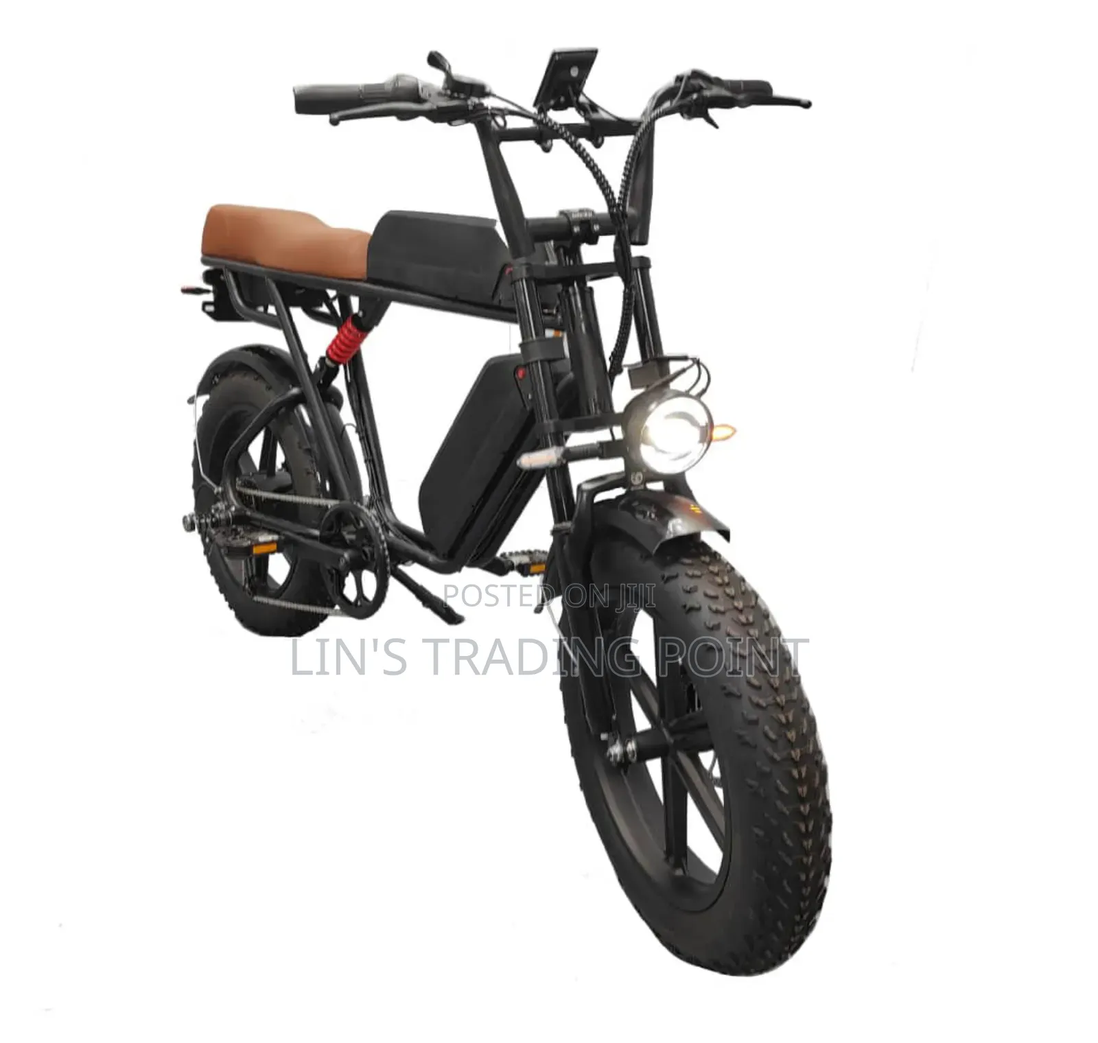 Dual Battery Electric Bike With Alloy Wheels