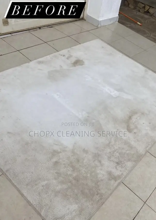 Deep Carpet Cleaning You Can Trust