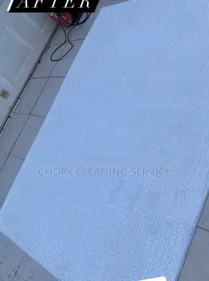 Deep Carpet Cleaning You Can Trust