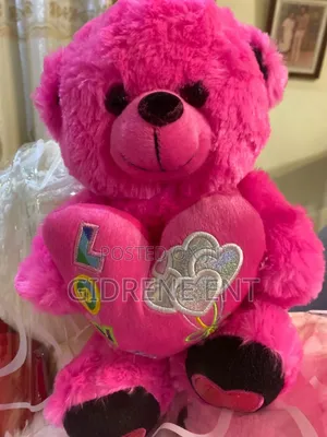 Teddy Medium Size