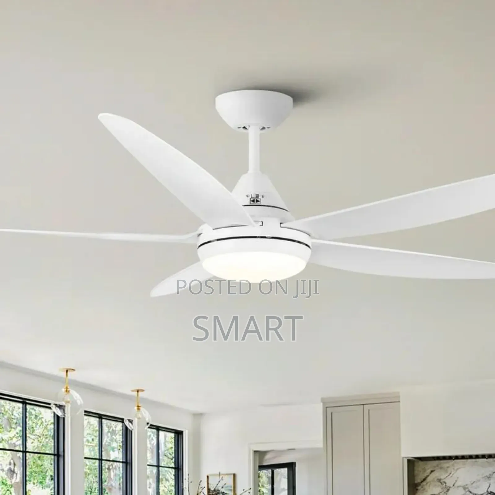 Executive Art Ceiling Fanlight With Led Light