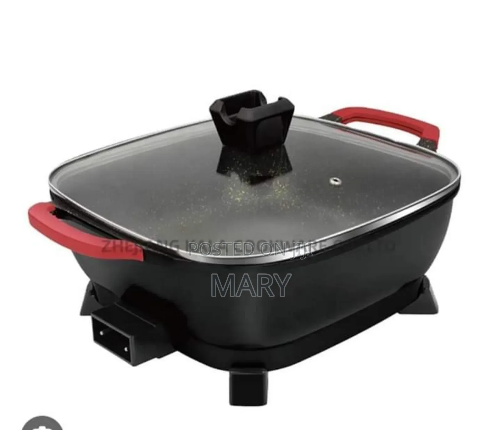 Electric Cooking Pot