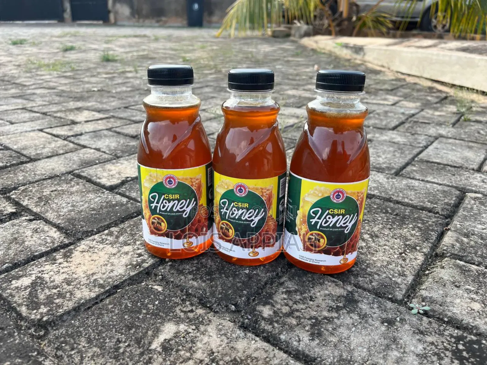Quality Csir Honey And Pure Prekese Syrup