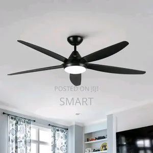 Art Fanlight With Remote Control With Led Light