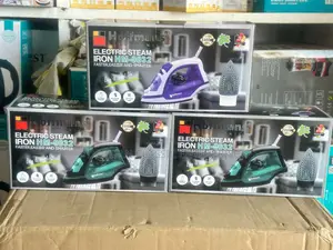 High Quality Professional Dual Dry/Steam Iron
