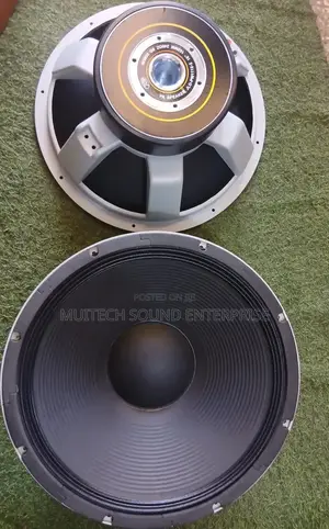 JLD Naked Speaker (18 Inches)Double Magnet