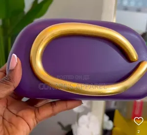 Designer Purse for Women