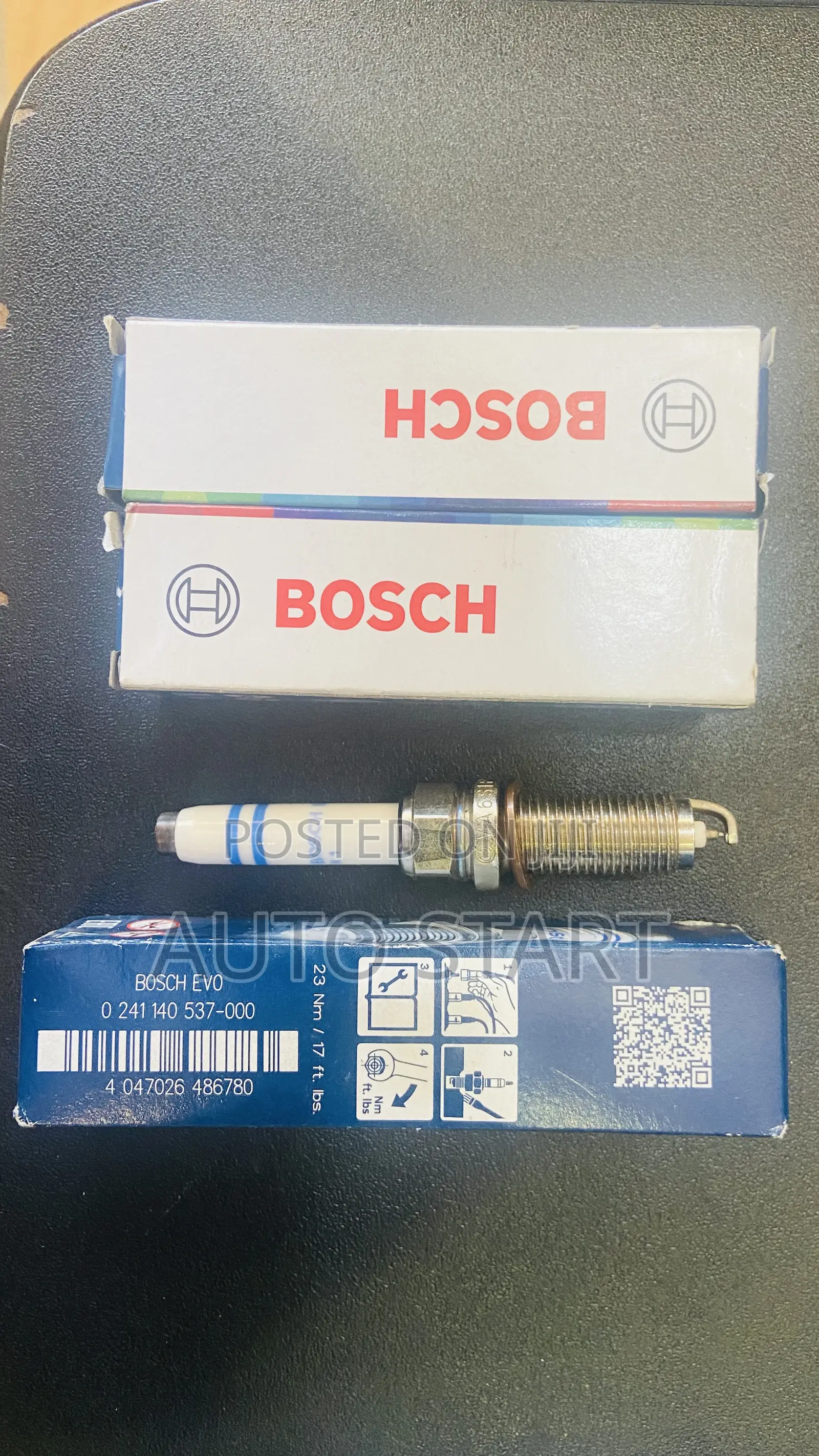 Bosch Spark Plugs- Bosch Evo