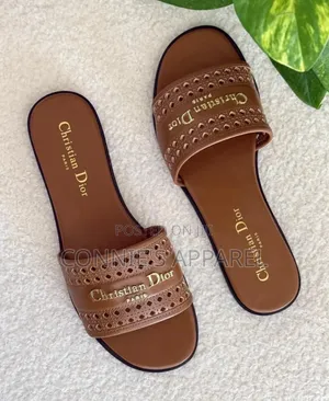 Christian Dior Slippers for Ladies Packaged in Boxes