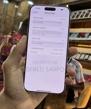 Apple iPhone 16 Pro Max 256 GB Silver