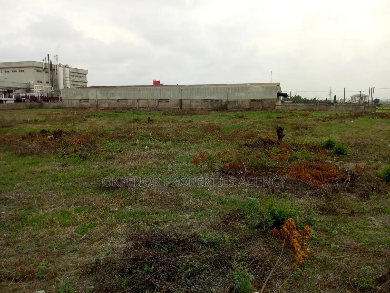 Warehouse for Rent at Freezone