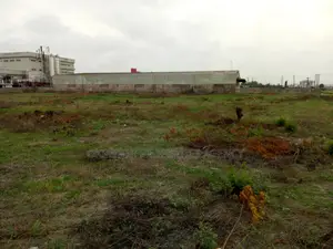 Warehouse for Rent at Freezone