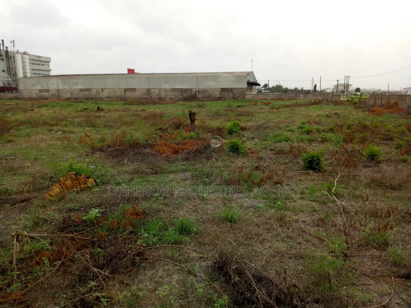 Warehouse for Rent at Freezone