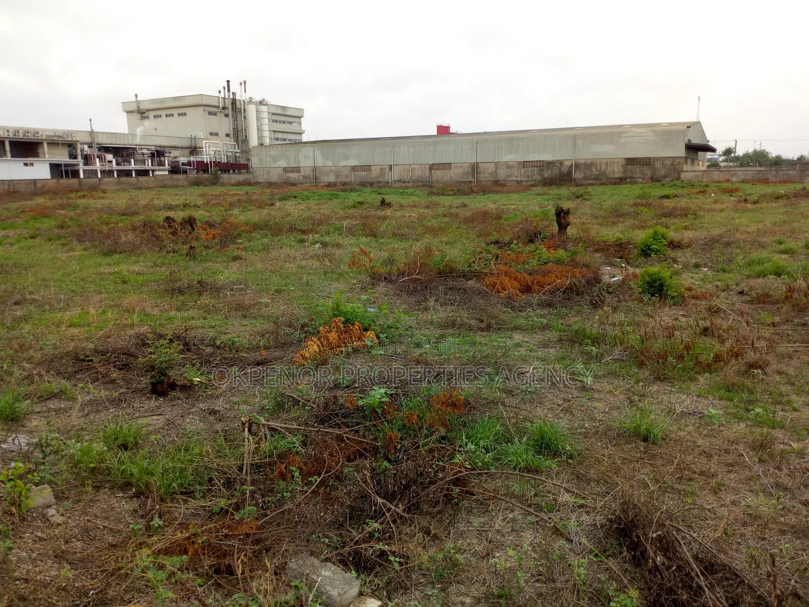Warehouse for Sale at Freezone