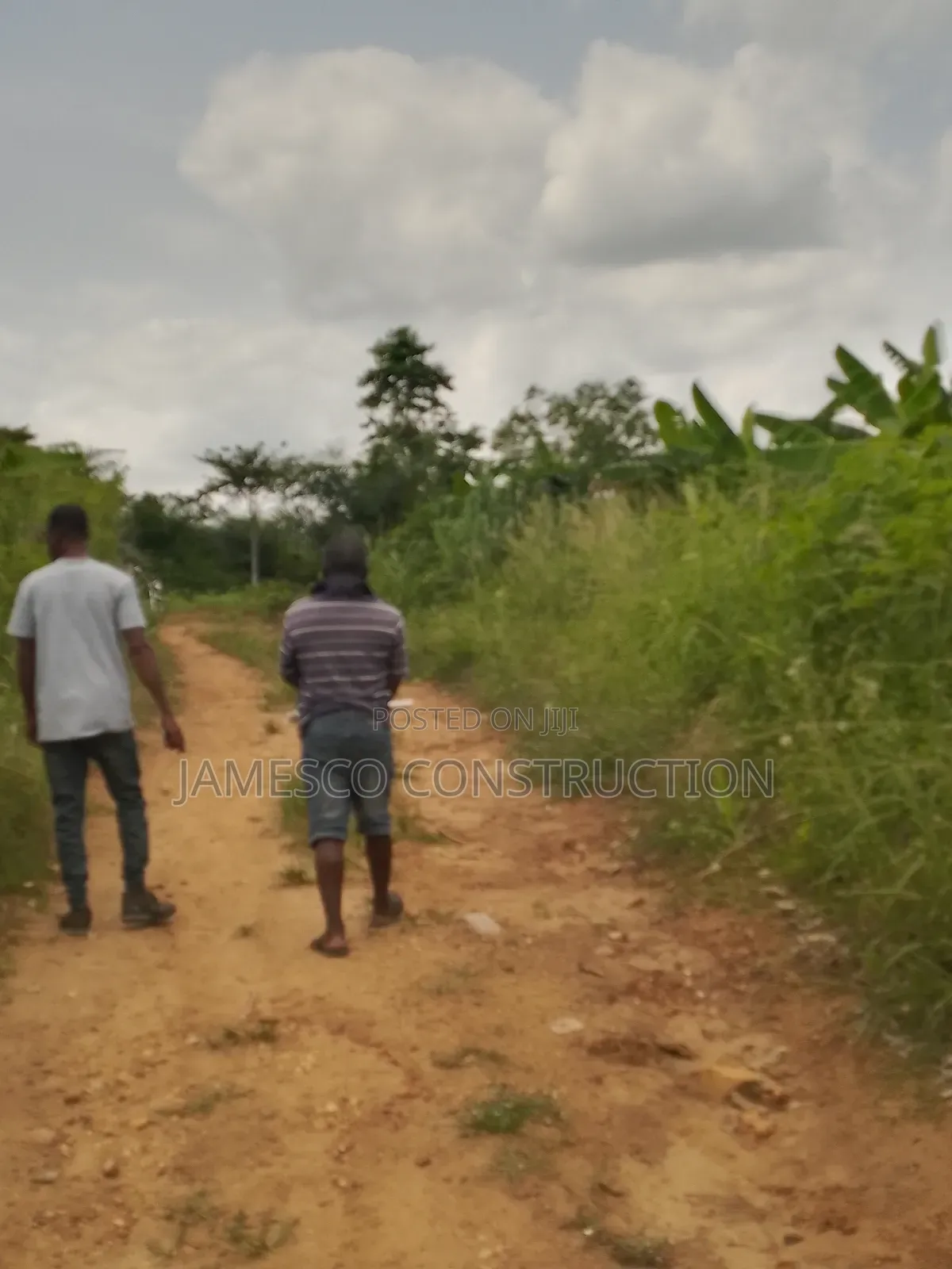 Farmlands for Sale