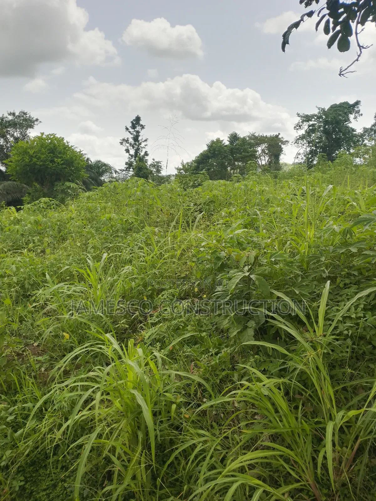 Farmlands for Sale