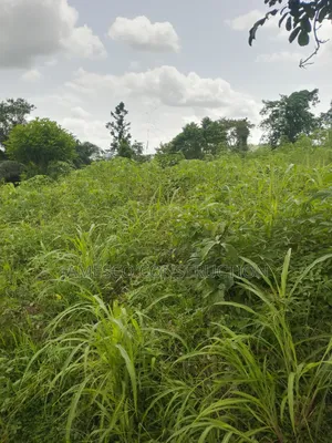 Farmlands for Sale