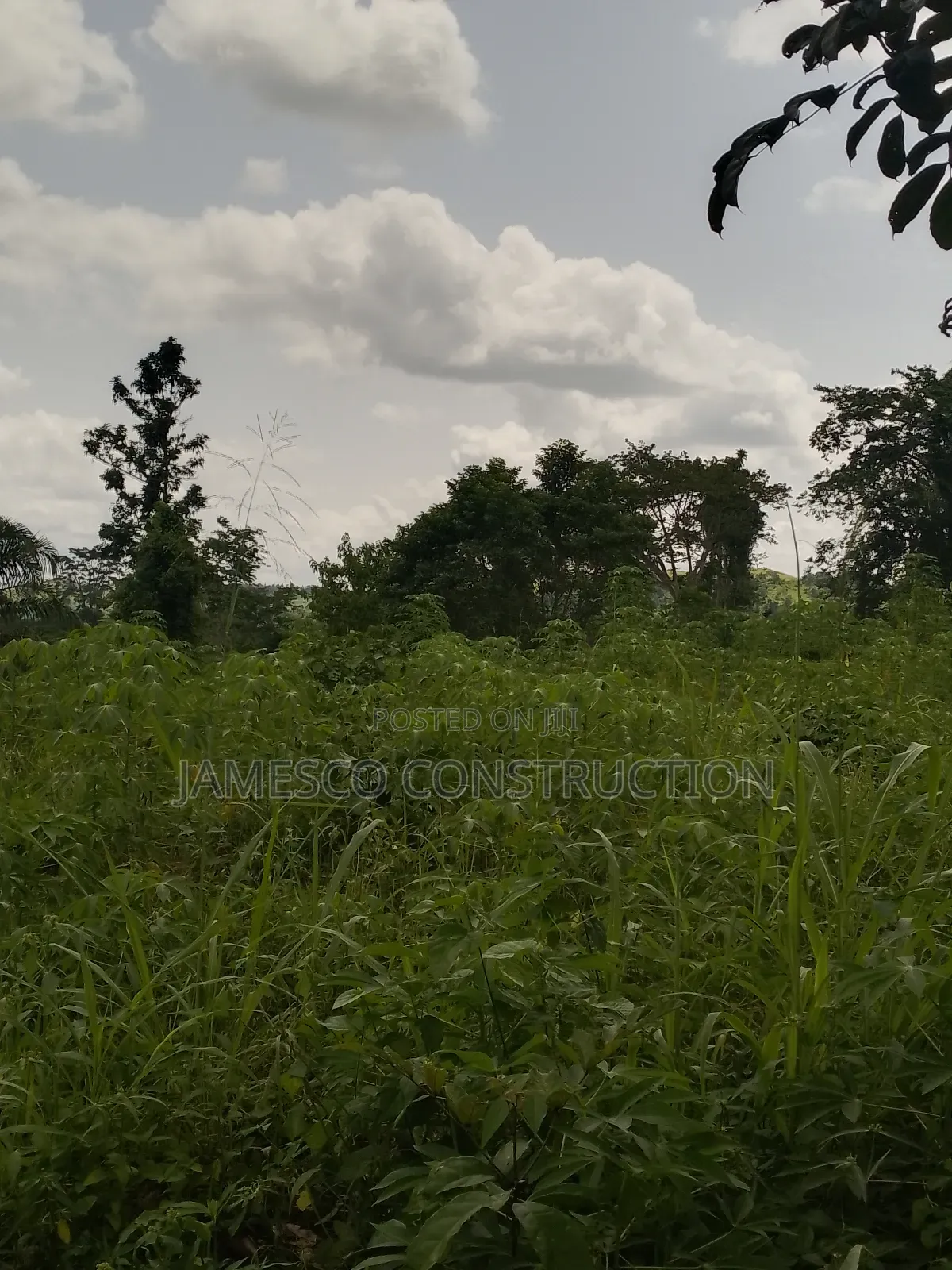 Farmlands for Sale