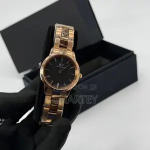 Dw Stainless Steel for Ladies - Rose Gold
