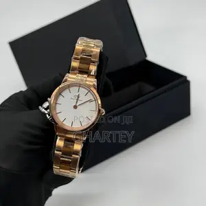 Dw Stainless Steel for Ladies - Rose Gold