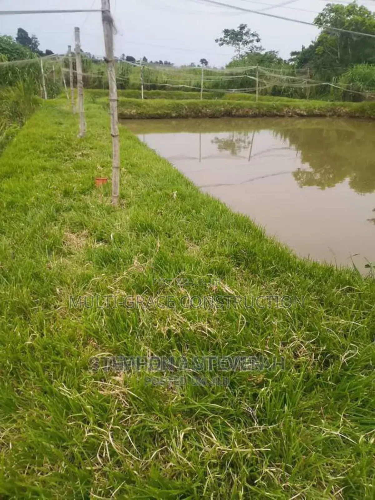 Fish Pond Construction