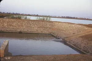 Fish Pond Construction