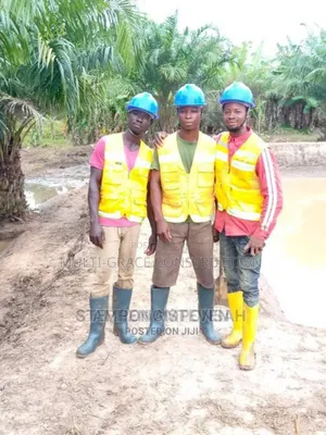 Fish Pond Construction
