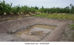 Fish Pond Construction