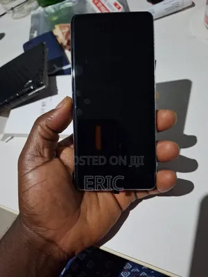 Samsung S10 Plus Screen With Frame